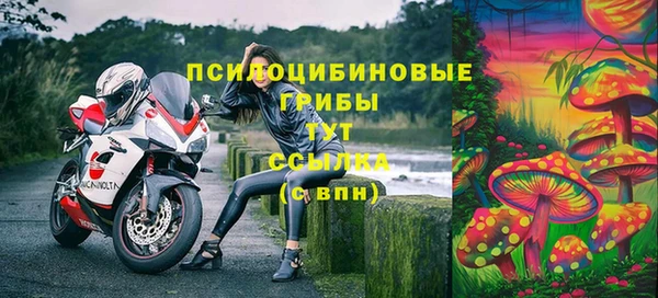 эйфоретик Бугульма