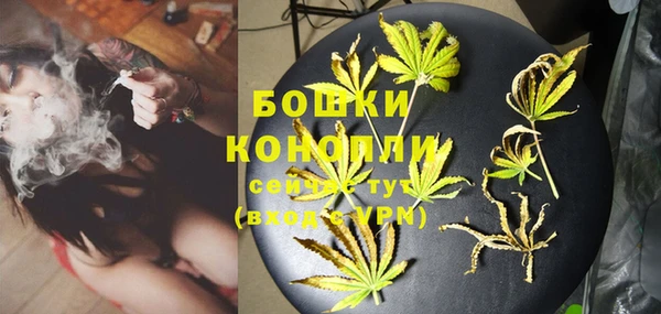 спайс Бородино