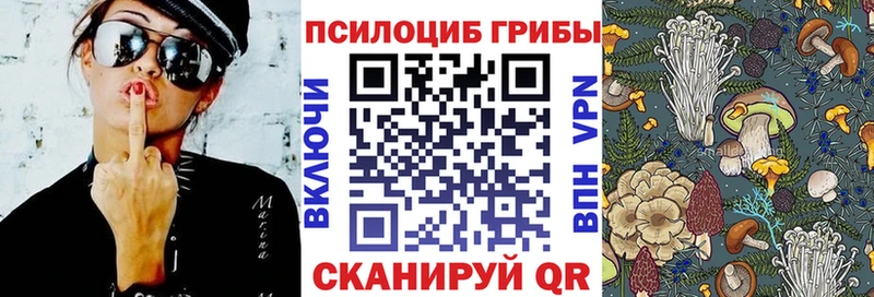 Галлюциногенные грибы мицелий  как найти   Дивногорск 