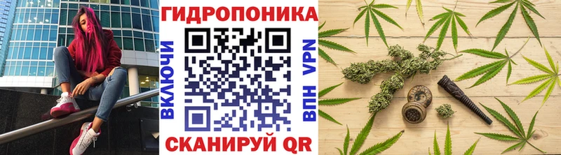 Канабис конопля хочу Дивногорск